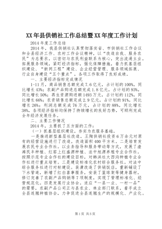 XX年县供销社工作总结暨XX年度工作计划
