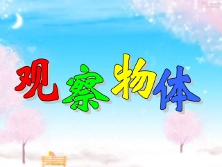 观察物体(三)例2