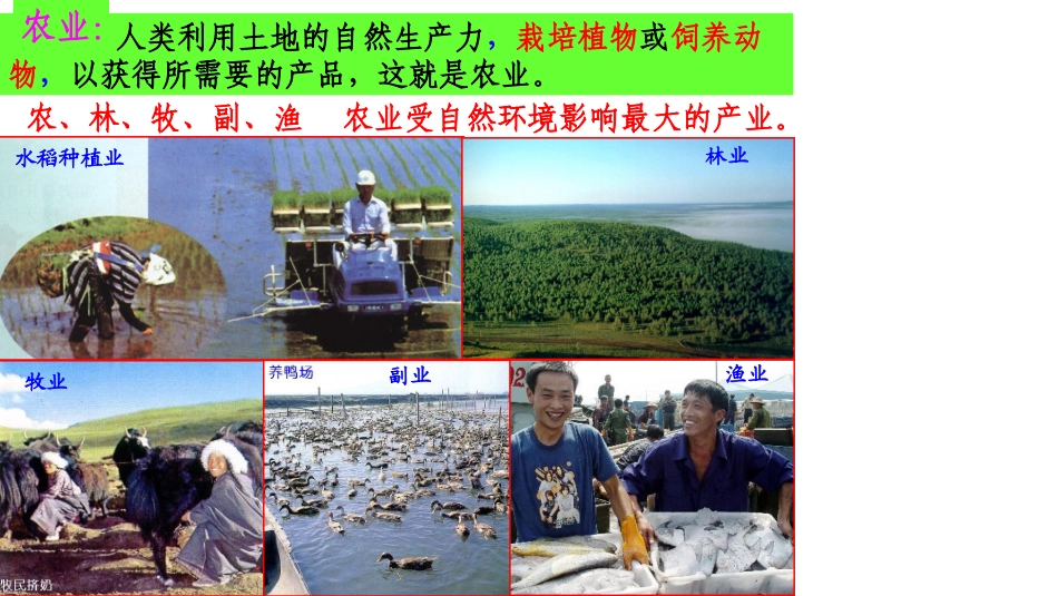 高三地理农业专题复习_第3页