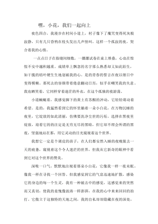 小花，我们一起向上--郭天雨