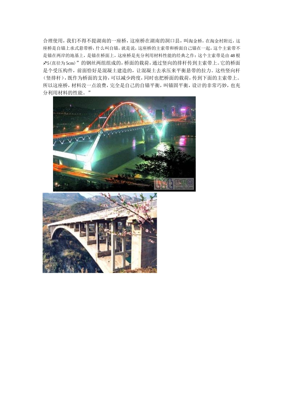 洞口淘金桥的力学分析与优化_第3页