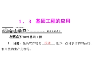 13基因工程的应用