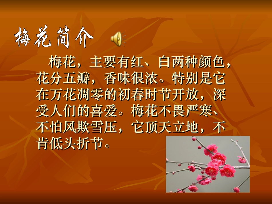 梅花魂--PPT_第1页