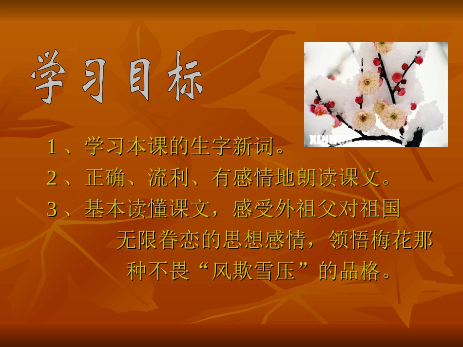 梅花魂--PPT_第3页
