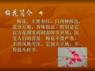 梅花魂--PPT