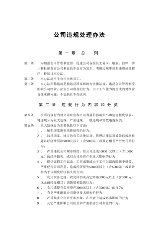 公司违规处理办法