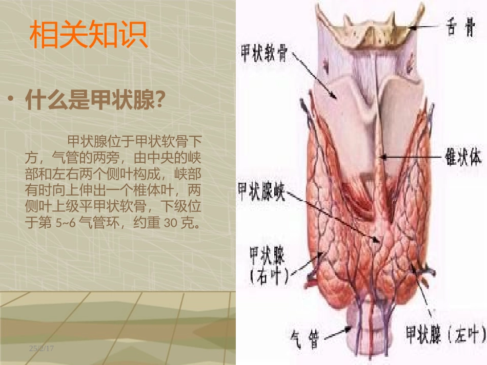 甲状腺肿护理查房_第3页