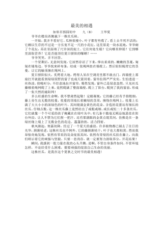 最美丽的相遇（王华夏）