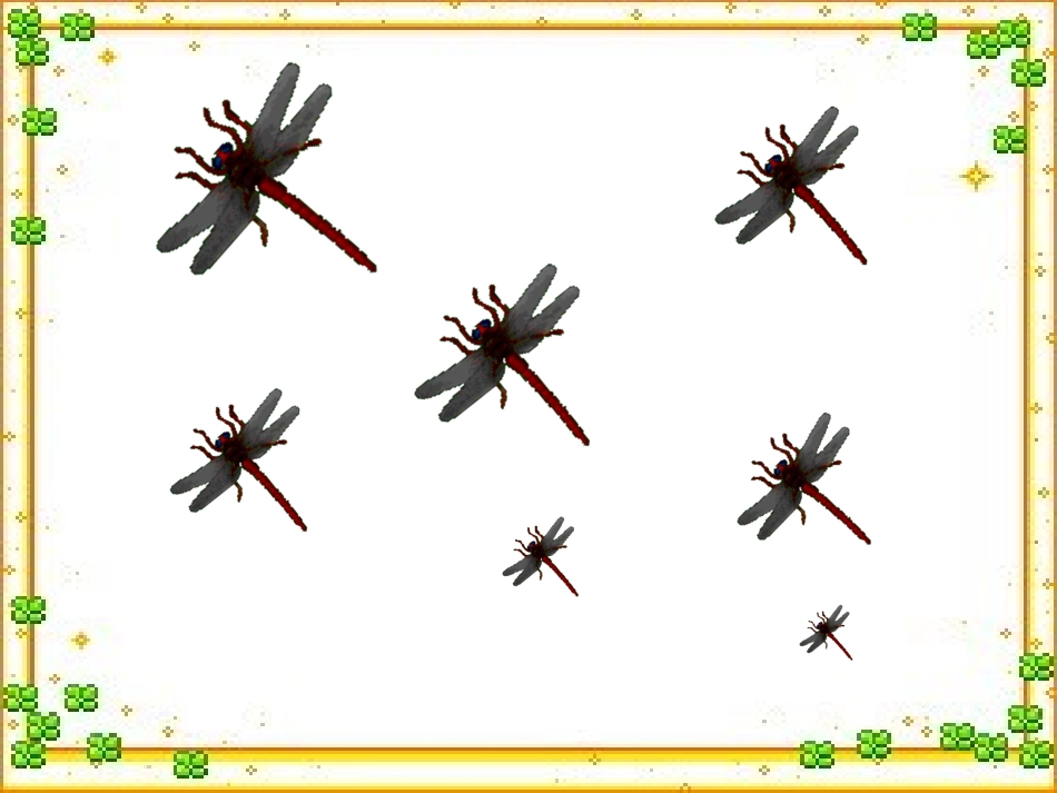 放飞蜻蜓课件_第2页