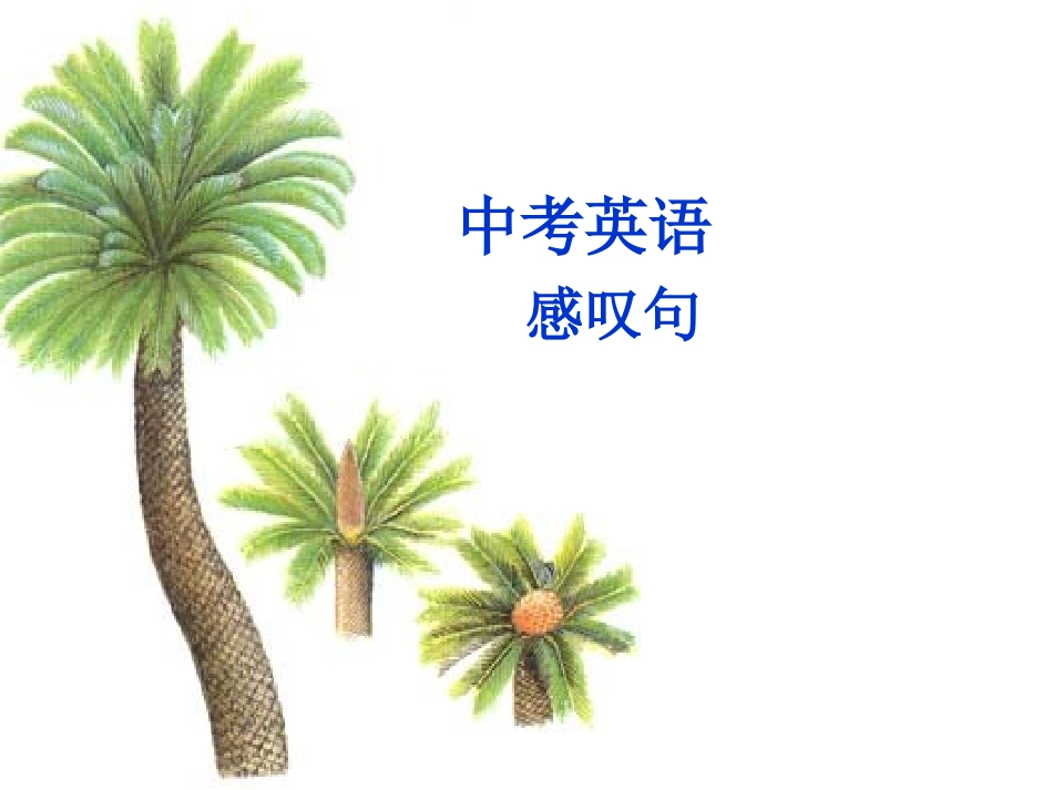 中考英语感叹句复习课件_第1页