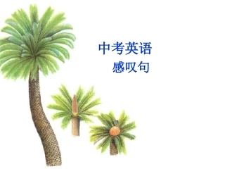 中考英语感叹句复习课件