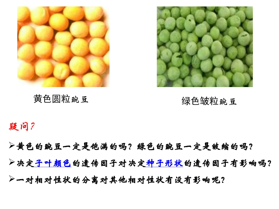 孟德尔遗传实验二_第1页