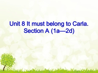 典案三-section-A-(1a-2d)