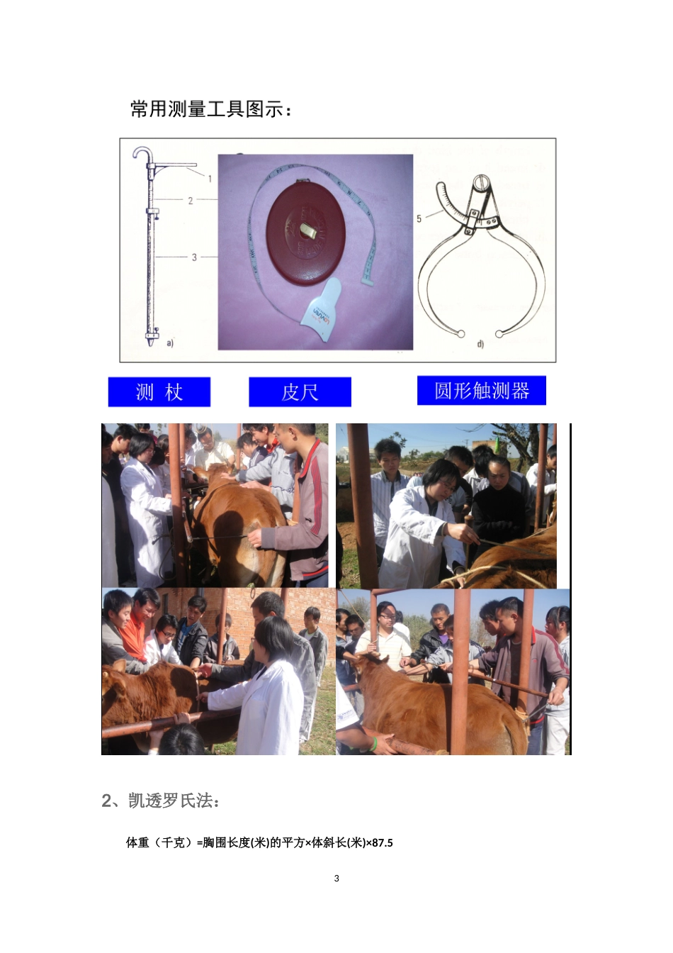 牛体重测量方法(图文)_第3页