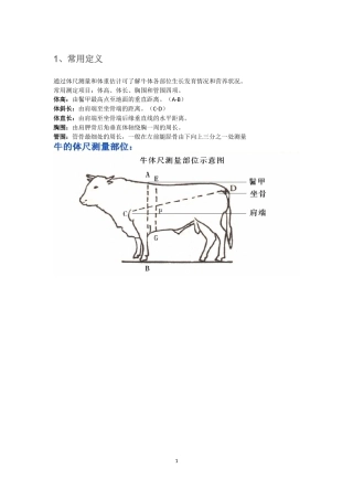 牛体重测量方法(图文)