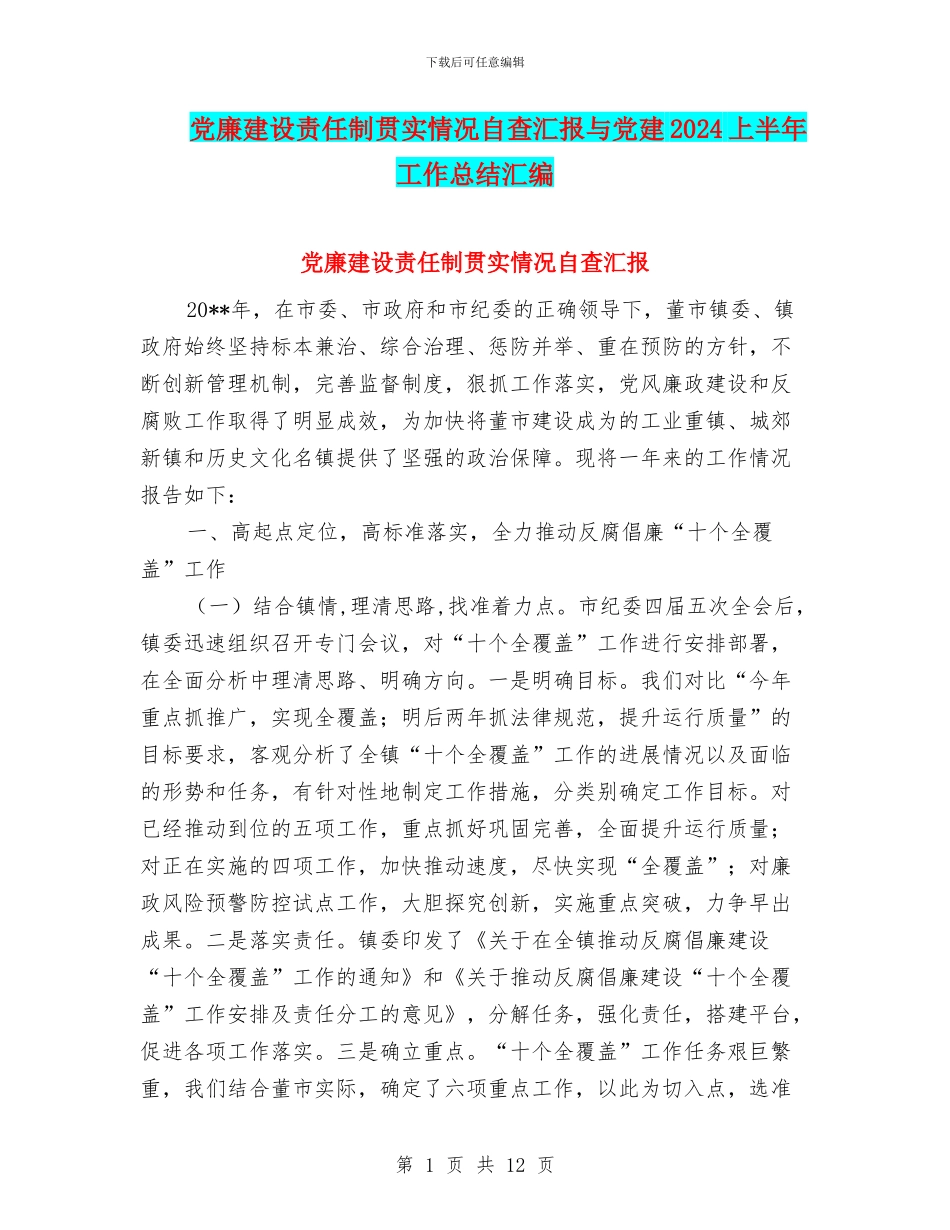党廉建设责任制贯实情况自查汇报与党建2024上半年工作总结汇编_第1页