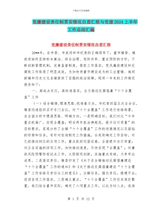 党廉建设责任制贯实情况自查汇报与党建2024上半年工作总结汇编