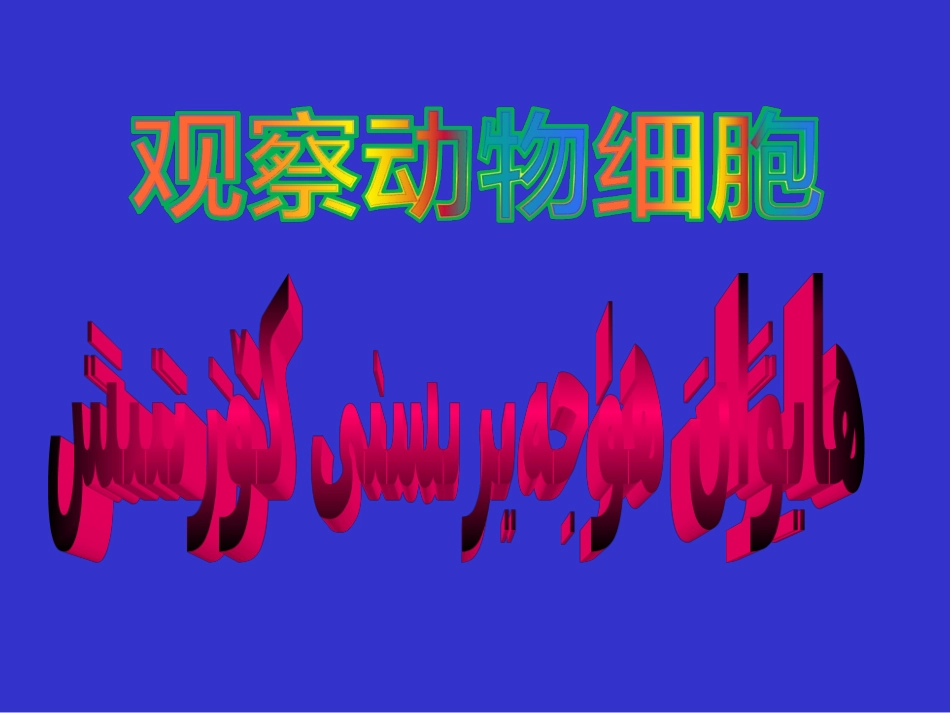 观察动物细胞_第1页