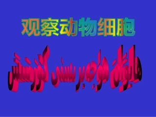 观察动物细胞