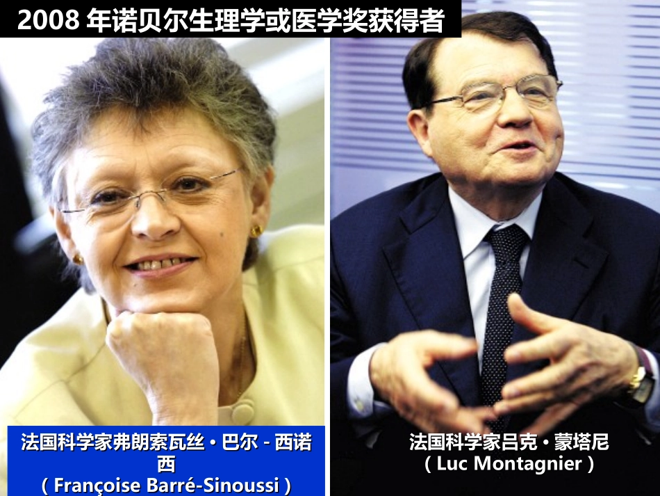 新人教版生物八年级上册《病毒》_第2页