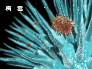 新人教版生物八年级上册《病毒》