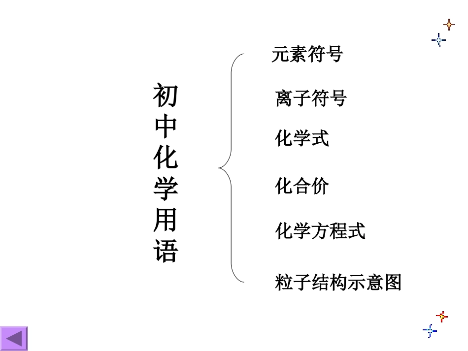 九年级化学化学用语_第1页