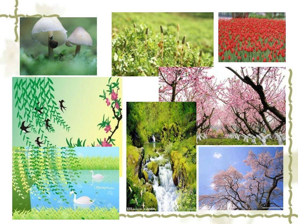 春天可以干什么（大班社会)_第2页