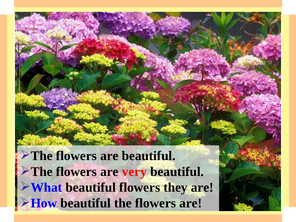 9unit2Grammar-Focus-2_第3页