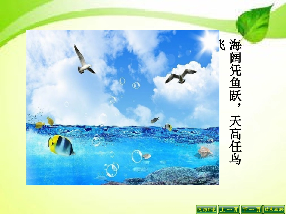 第一节动物运动的形式和能量供应_第2页