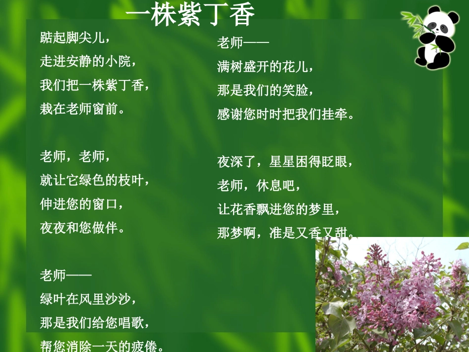 sx一株紫丁香_第3页