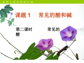 第二课时常见的酸201503用