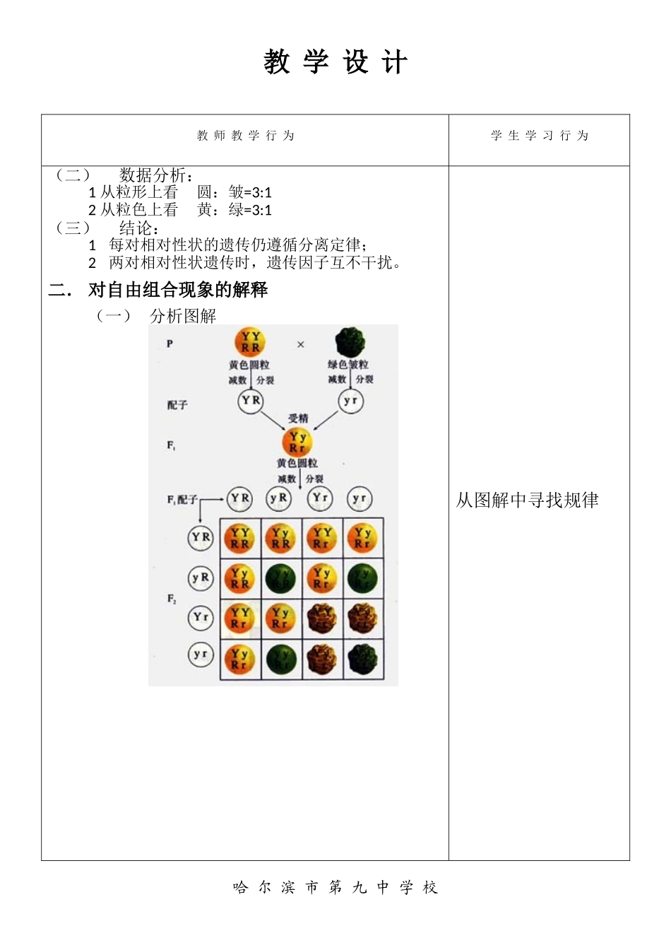 孟德尔的豌豆杂交实验（二）_第3页