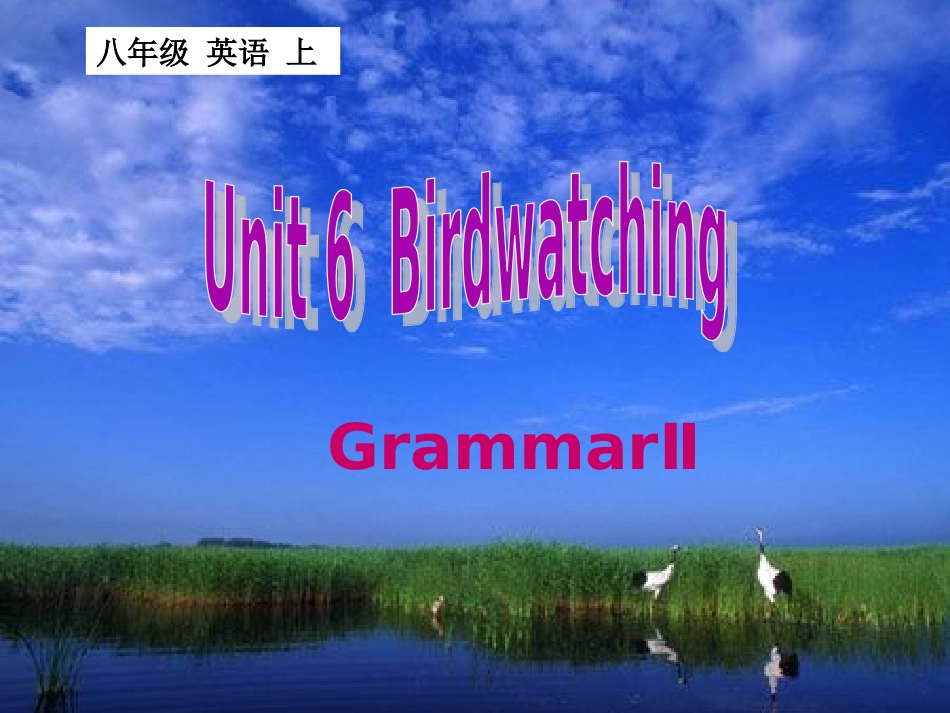 Unit6Grammar2_第1页