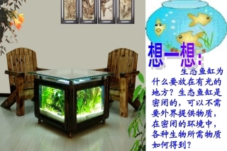 生态系统的物质循环(共30张PPT)