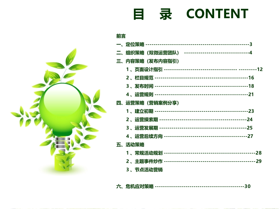 新媒体运营方案-拿去用PPT_第2页
