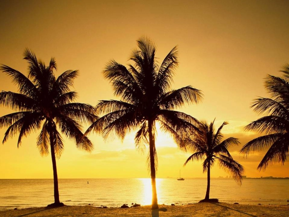 《海滨仲夏夜》ppt课件_第3页