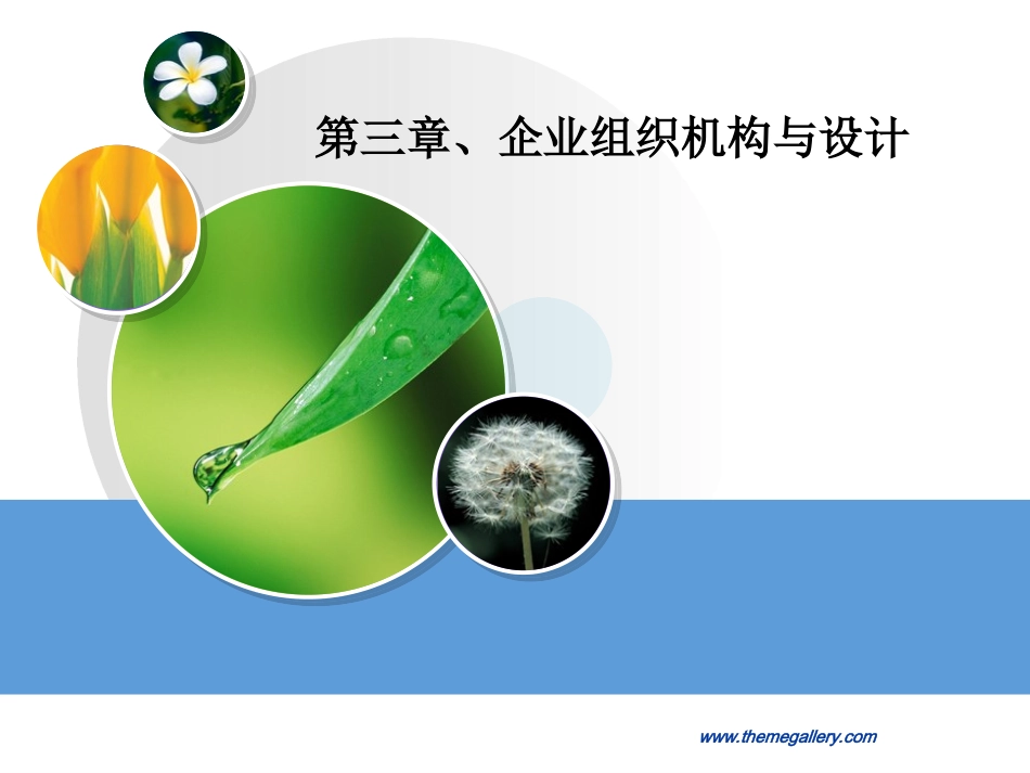 企业组织机构与设计_第1页