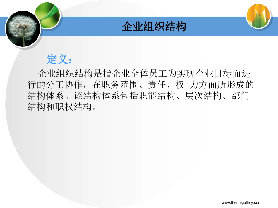 企业组织机构与设计_第2页