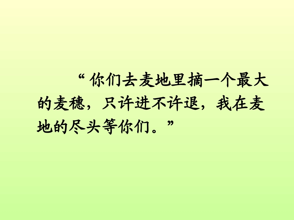 16最大的麦穗2_第2页