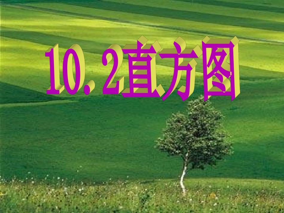 《10.2直方图》_第1页