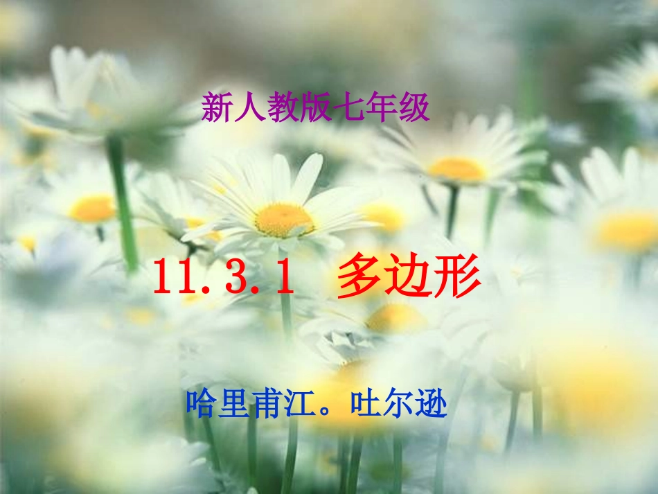 11.3多边形_第2页