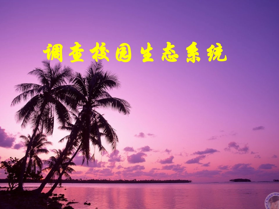 调查一个生态系统_第1页