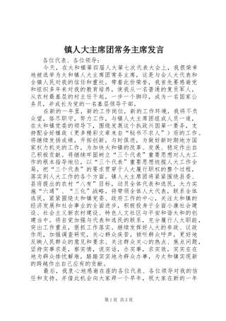 镇人大主席团常务主席发言