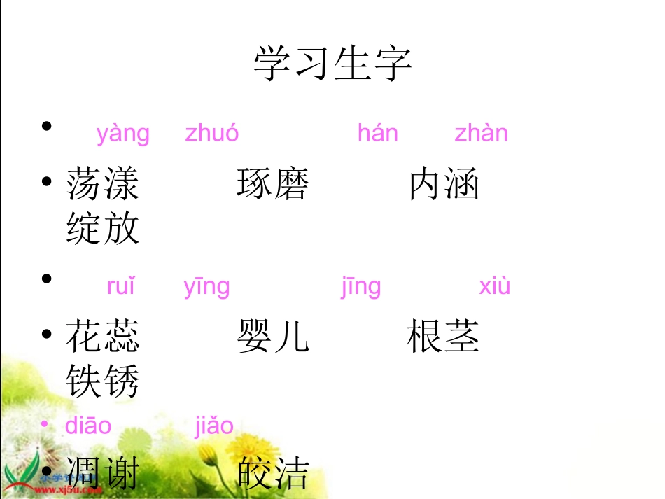 18《广玉兰》PPT课件_第2页