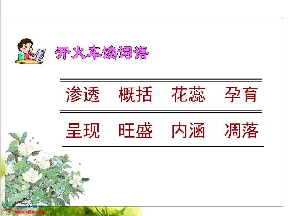 18《广玉兰》PPT课件_第3页