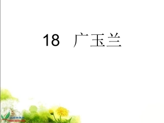 18《广玉兰》PPT课件