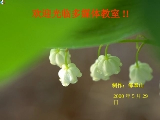 平行线的性质(可做为其他课件的模板)