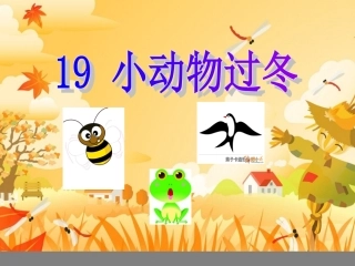小动物过冬PPT