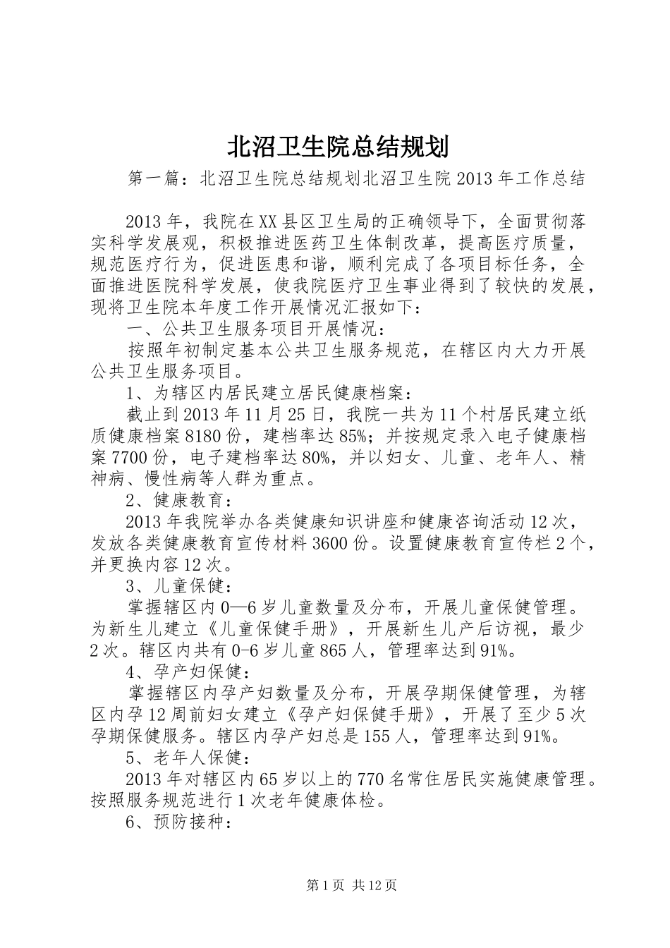 北沼卫生院总结规划_第1页