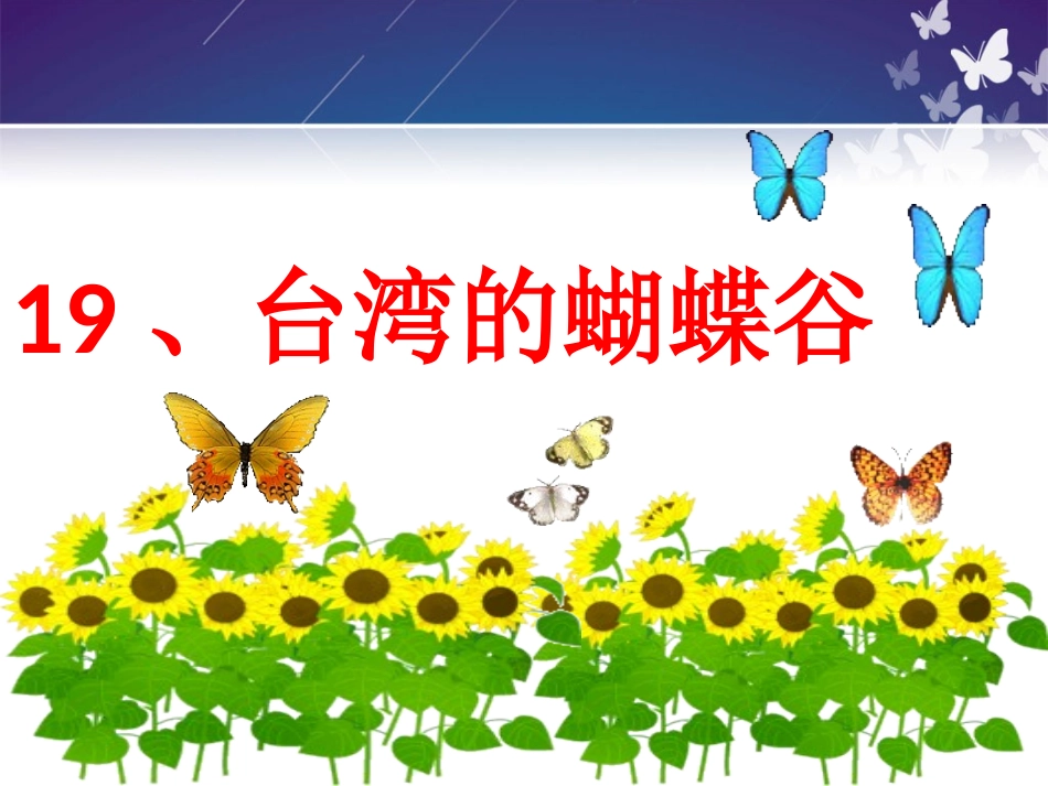 台湾的蝴蝶谷第一课时PPT_第2页